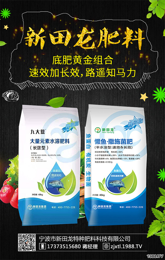 ����������������ף������µ�һ�������w�������f��������