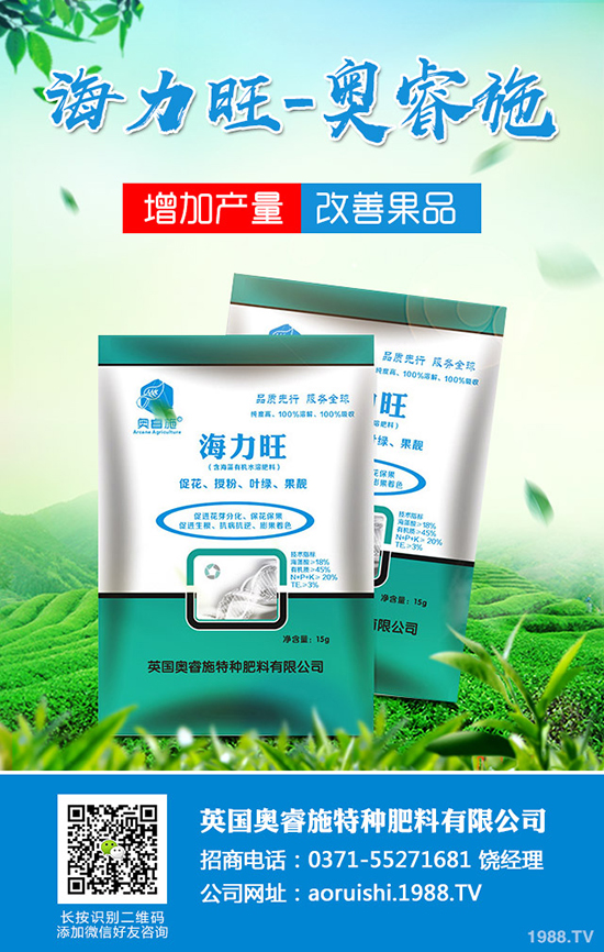 臍橙種植對(duì)環(huán)境有哪些要求？臍橙種植要點(diǎn)有哪些？