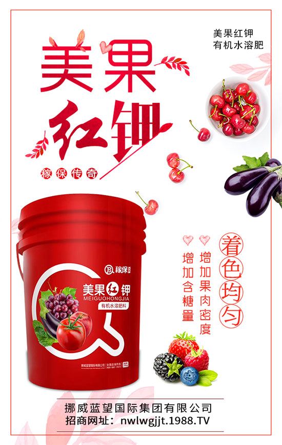 茄子炭疽病有哪些危害？茄子炭疽病怎么防治？