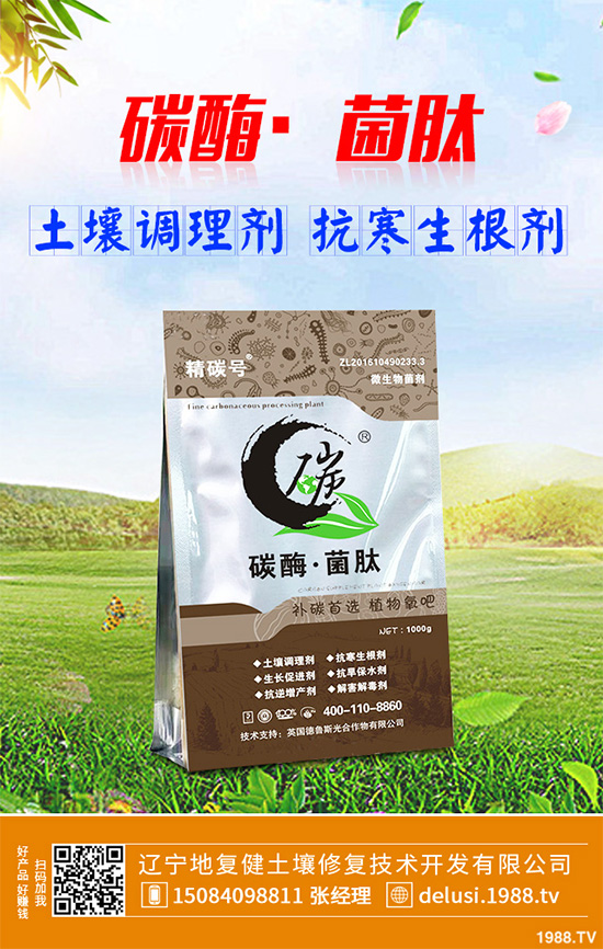     芹菜斑枯病有哪些危害癥狀？芹菜斑枯病的危害及防治