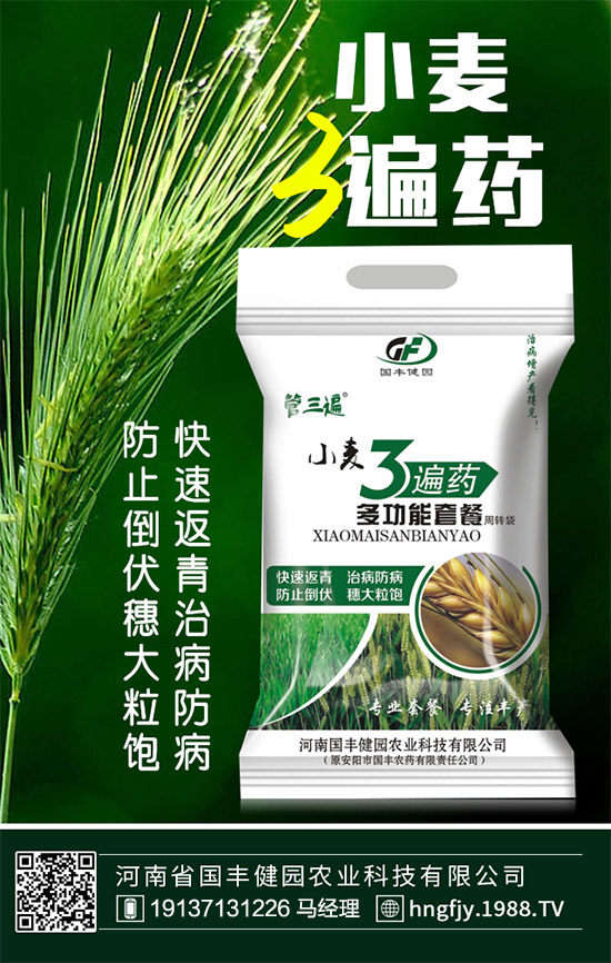 �����S���@��ף������µ�һ�������w�������f�����⣡