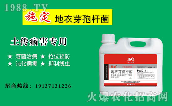 �����S���@��ף������µ�һ�������w�������f��������