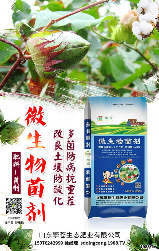     春節(jié)來臨！2020年1月尿素能否挺價？尿素行情走勢預(yù)測！