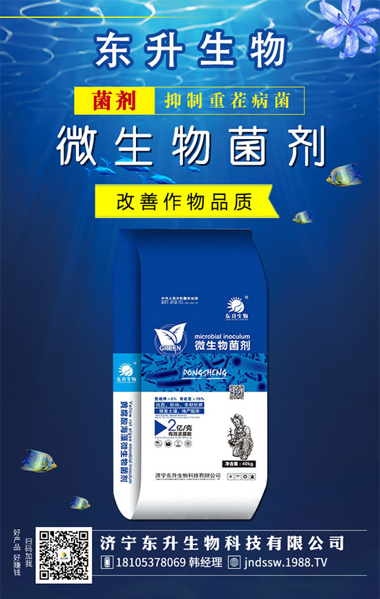 石榴樹什么時候嫁接好？石榴樹嫁接方法有哪些呢？