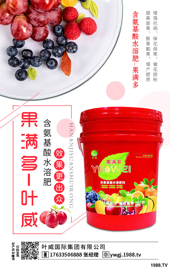 芹菜根腐病是如何發(fā)生的？該怎樣防治？快來(lái)看看吧！