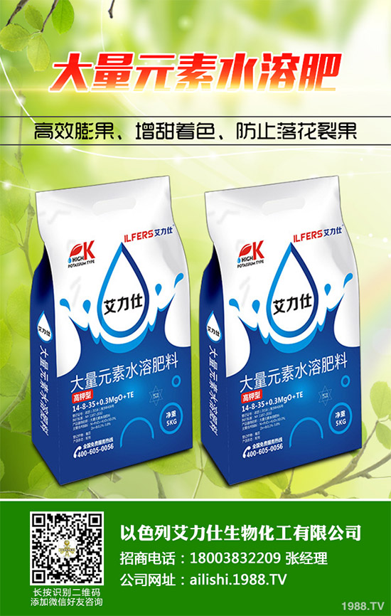 芹菜根腐病是如何發(fā)生的？該怎樣防治？快來(lái)看看吧！