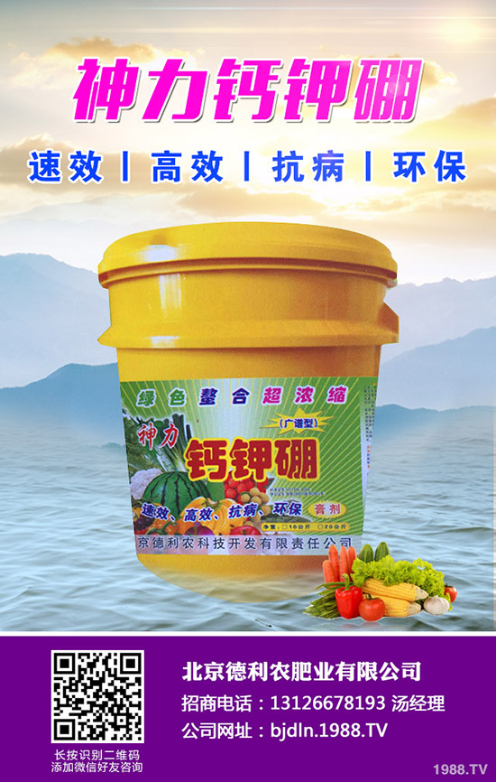 2020年春節(jié)前鉀肥價(jià)格上漲有限！2020-1-17日鉀肥行情走勢分析！