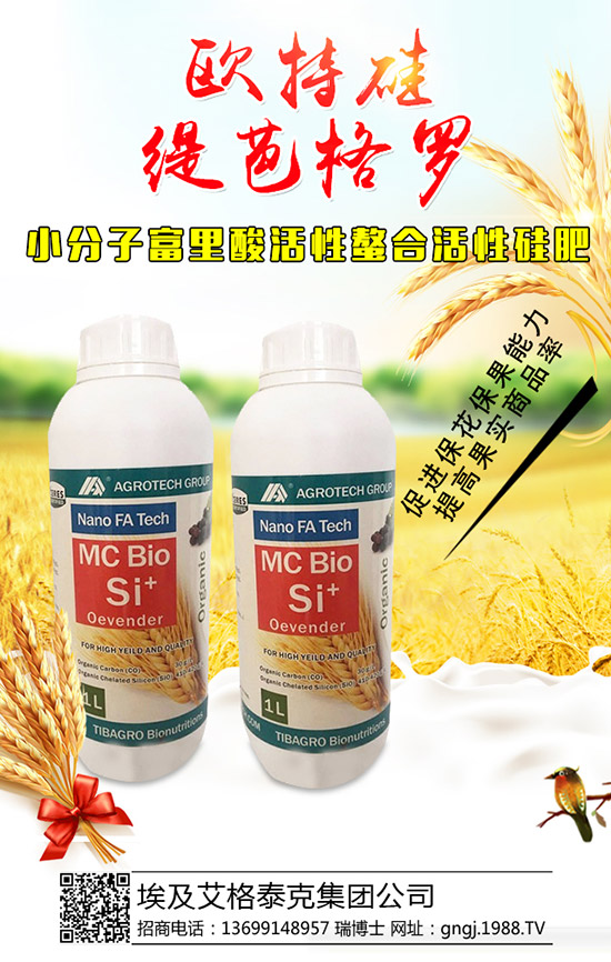 大棚辣椒結(jié)果少是怎么回事,怎樣提高辣椒坐果率?