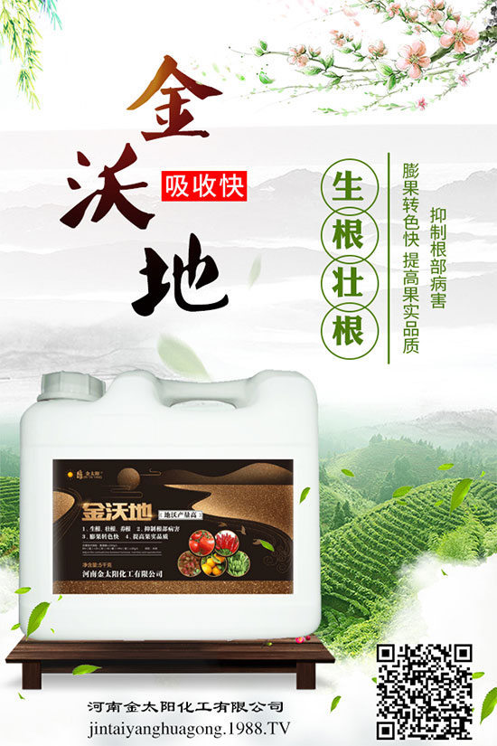 苦瓜白粉病癥狀及危害，苦瓜白粉病的防治妙招！