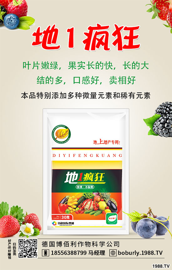 花椒落花落果是什么原因？花椒保花保果措施！