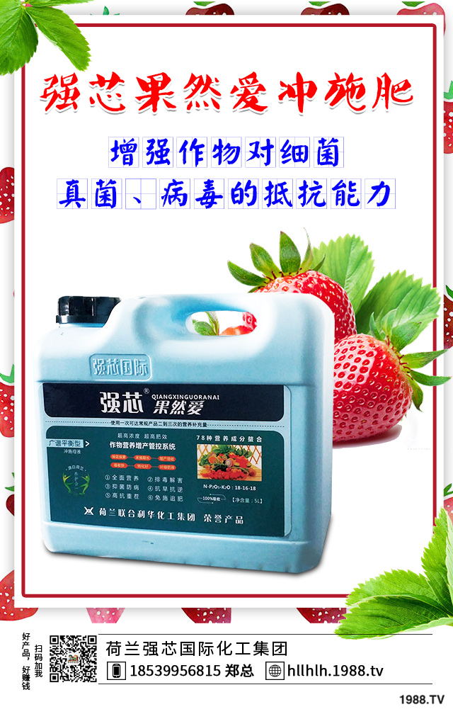 2020年種植什么蔬菜能掙錢？2020年蔬菜種植前景分析