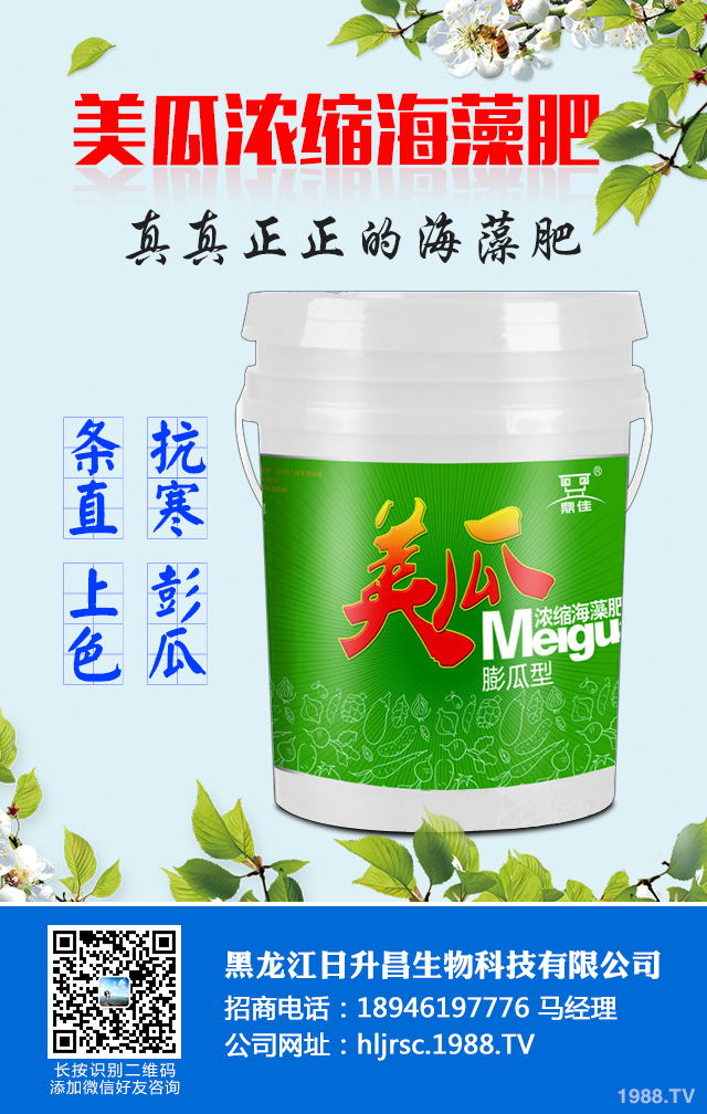 2020年種植什么蔬菜能掙錢？2020年蔬菜種植前景分析