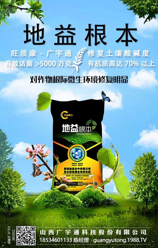 蘑菇想高產(chǎn)，五大管理施肥必須知道