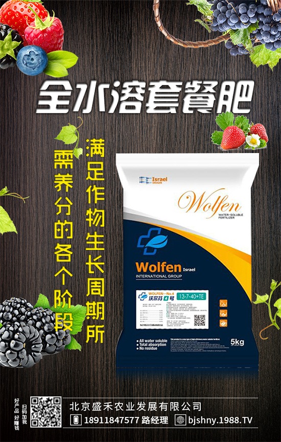 葫蘆種植時(shí)間是什么時(shí)候？葫蘆高產(chǎn)種植方法！