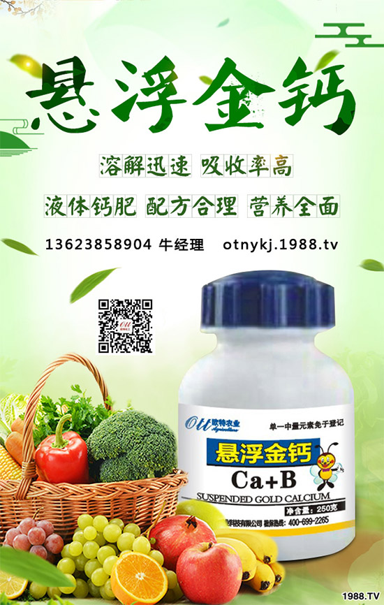 紅藤有哪些神奇功效？紅藤的功效作用及禁忌人群