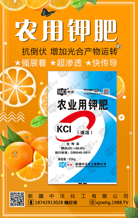 ���½����ֻ�������ף������������옷�����꼪����2020�L�LؔԴ��