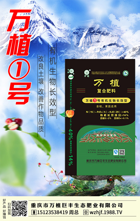     臨近年末，二銨市場行情依舊低落！2020-1-4今日最新二銨價(jià)格早報(bào)！