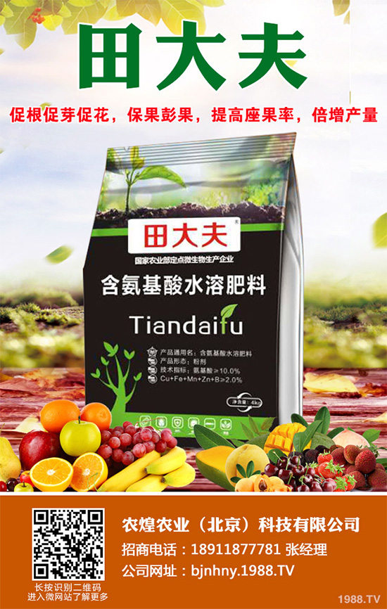 種植什么水果會賺錢？2020年水果種植指南