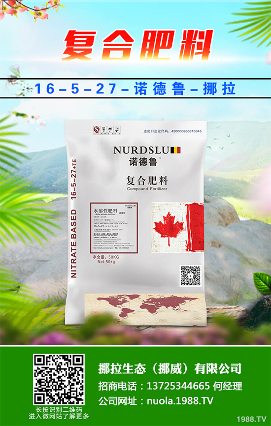 種植什么水果會賺錢？2020年水果種植指南