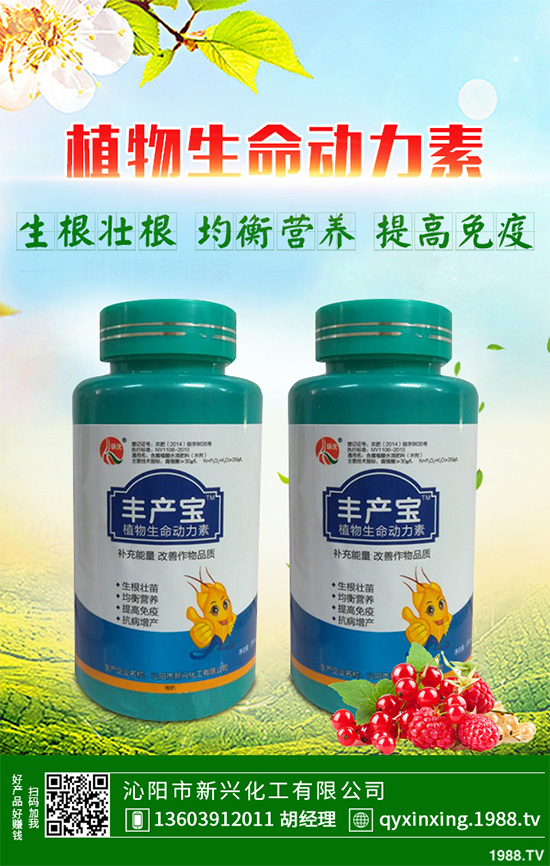 怎樣才能種好大白菜？大白菜高產(chǎn)種植技術(shù)要點