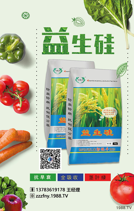 菜椒想高產(chǎn)，應(yīng)在菜椒幼苗期與掛果期科學(xué)施肥！