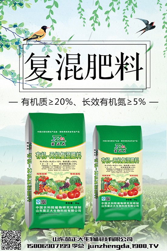 種植香菇前景如何？2020年香菇種植前景分析