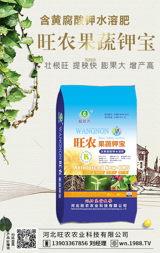 郁金香生長習(xí)性有哪些？郁金香養(yǎng)護要點！