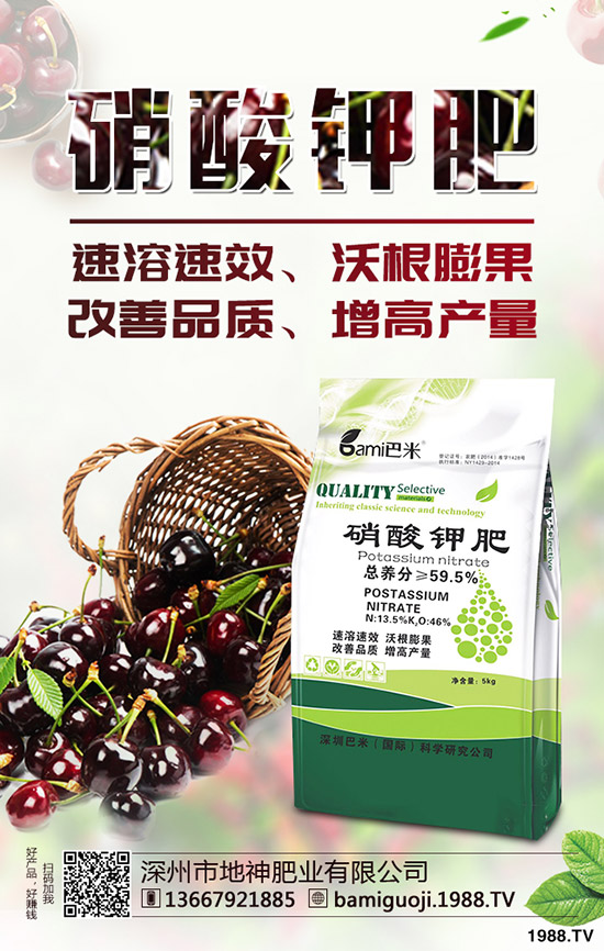 好吃的釋迦果要如何種植？釋迦果種植時(shí)間及方法！