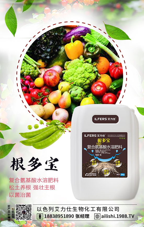 扁豆什么時間種植？扁豆高產(chǎn)栽培技術(shù)！