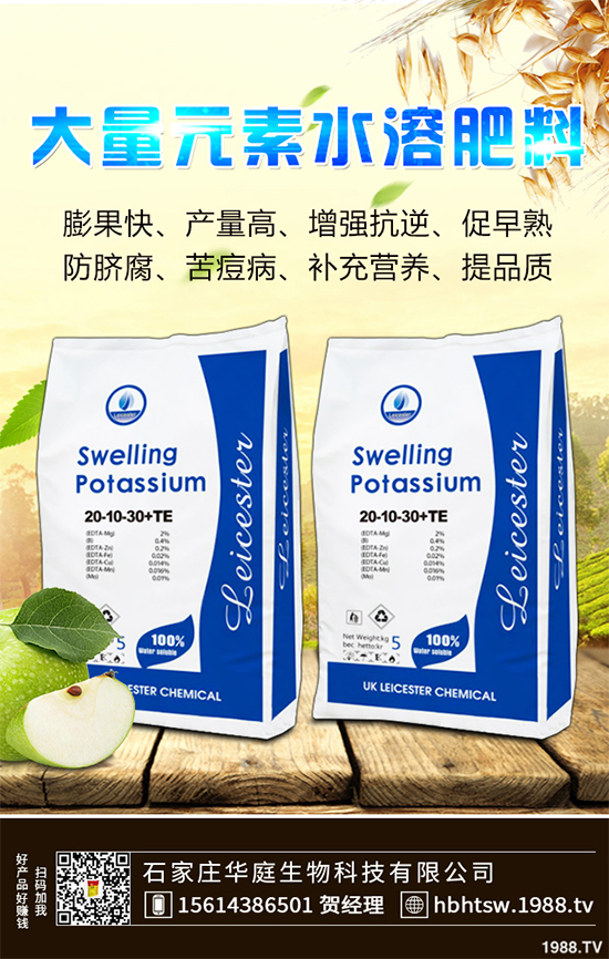 露地辣椒該如何施肥？露地辣椒高產(chǎn)施肥技術(shù)