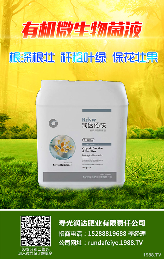 露地辣椒該如何施肥？露地辣椒高產(chǎn)施肥技術(shù)