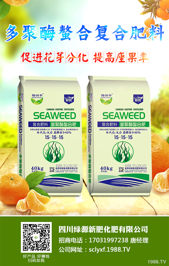 冬季南瓜該如何種植？反季南瓜大棚種植技術(shù)