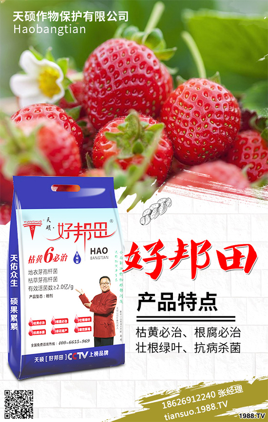 冬季南瓜該如何種植？反季南瓜大棚種植技術(shù)