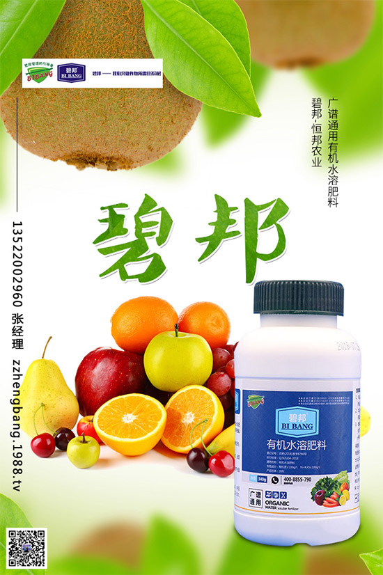 春季甘藍(lán)該如何種植？春甘藍(lán)高產(chǎn)管理技術(shù)