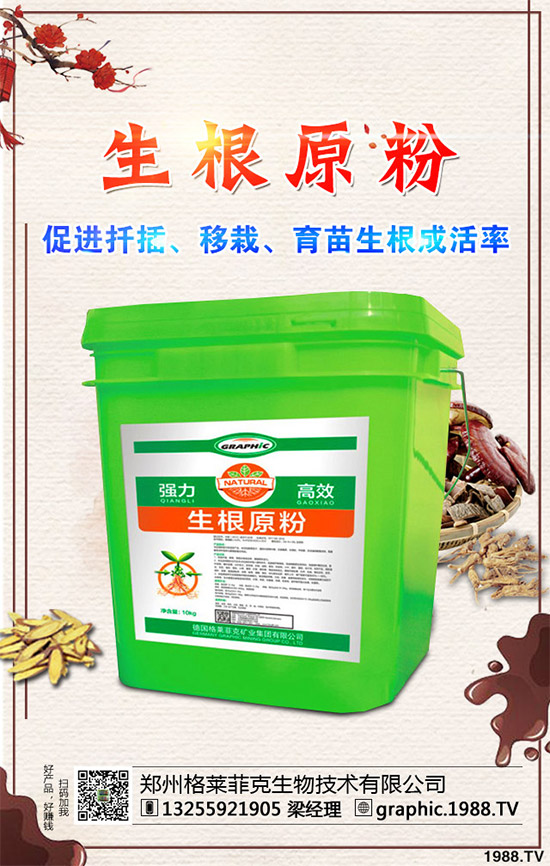 春季甘藍(lán)該如何種植？春甘藍(lán)高產(chǎn)管理技術(shù)