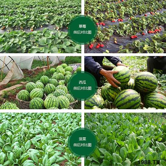 �ݲ�ѿ�ߗU��-�������