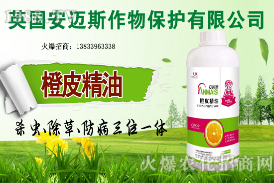 10月種植哪些蔬菜更合適？田間管理要重點抓好哪幾點？