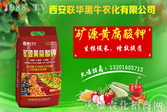 秋季果樹該如何管理？秋季果樹管理應(yīng)避免的四大誤區(qū)！