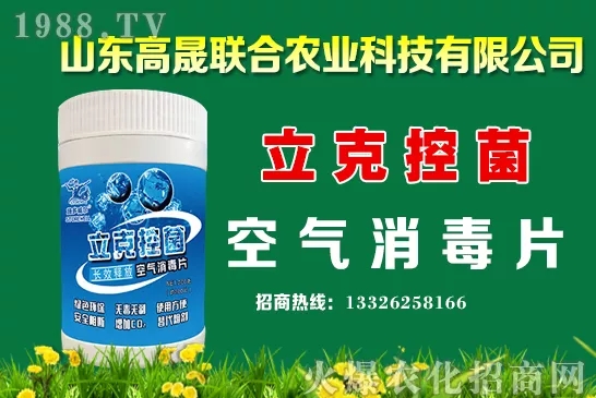 2020��10��13�Շ�(gu��)��(n��i)С���r(ji��)������