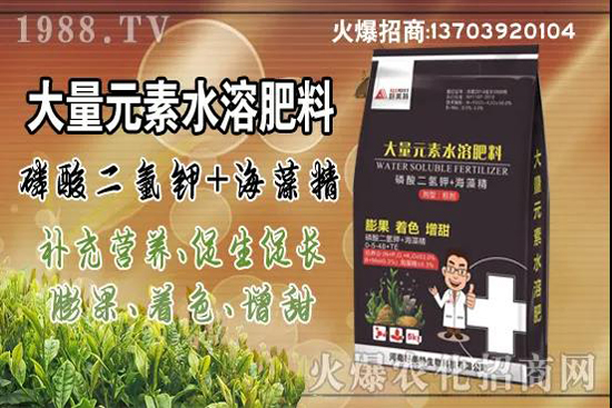 蔬菜旺長(zhǎng)有哪些危害？秋茬蔬菜控旺三要點(diǎn)！