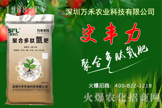 花生價(jià)格每斤高達(dá)6元？2020年10月17日各地花生價(jià)格行情