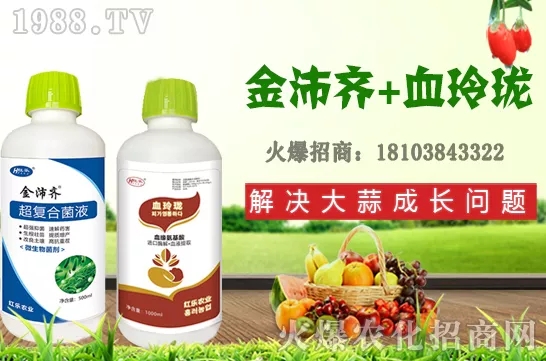     �ļ�ʯ�����L��������Щ���ļ�ʯ����ֲ���g�������ڹ�����