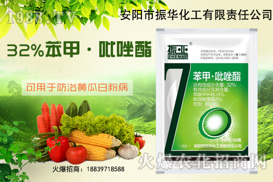 大棚黃瓜白粉病什么藥有用？發(fā)病條件如何避免？