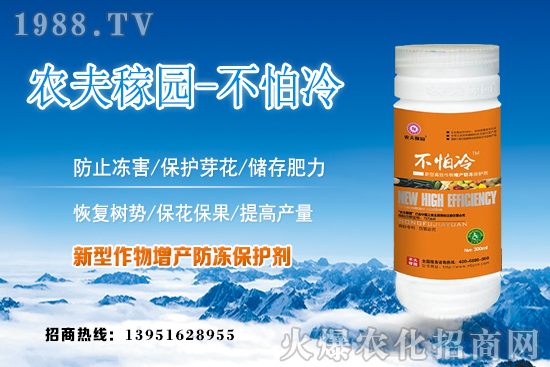 刺梨的種植條件有哪些？刺梨繁殖方法及田間管理！