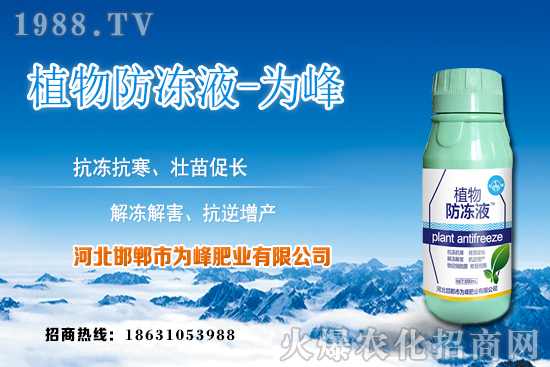 蘆薈的生長(zhǎng)規(guī)律有哪些？蘆薈種植方法及種植注意事項(xiàng)！