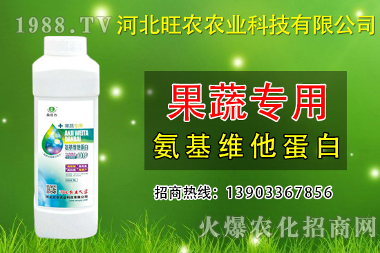 枇杷種植為什么會裂果呢？預(yù)防枇杷裂果措施有哪些？