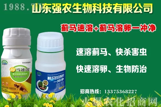 秋冬11月種植什么蔬菜比較合適?蔬菜種植注意事項!