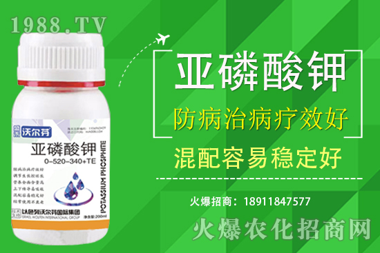 氮磷鉀主要的作用是什么？三者之間有什么關(guān)注？