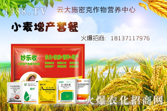 小麥播種后不出苗？是什么原因造成的？