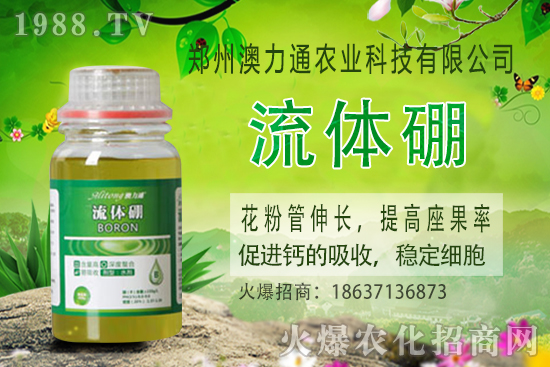 ⛷ʃr����m(x��)���q��2020-10-30����(n��i)⛷ʃr���rһ�[